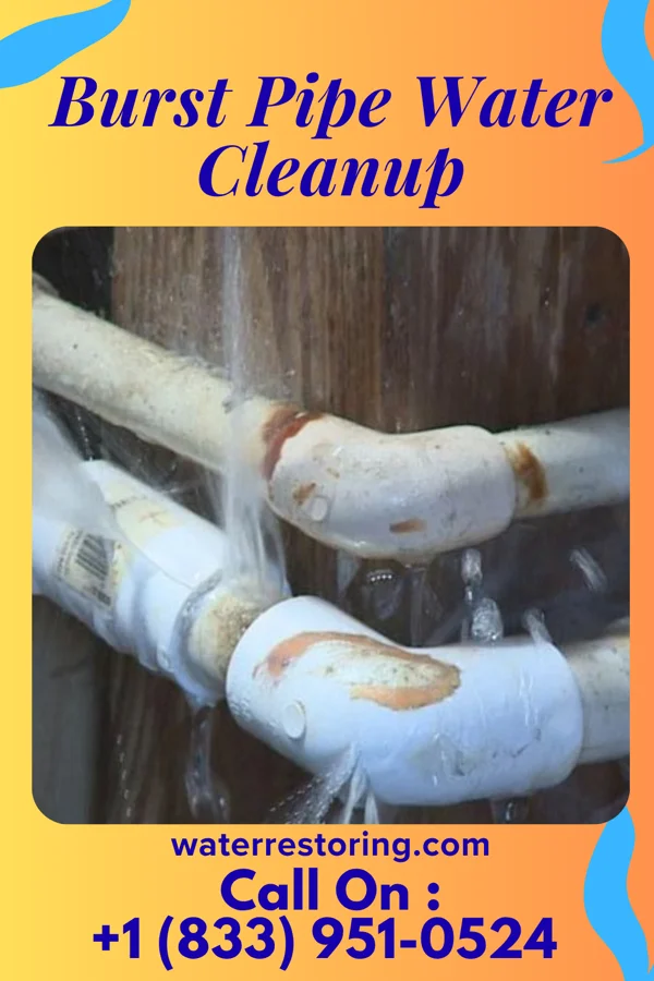 Burst Pipe Water Cleanup in Lemmon Valley, NV