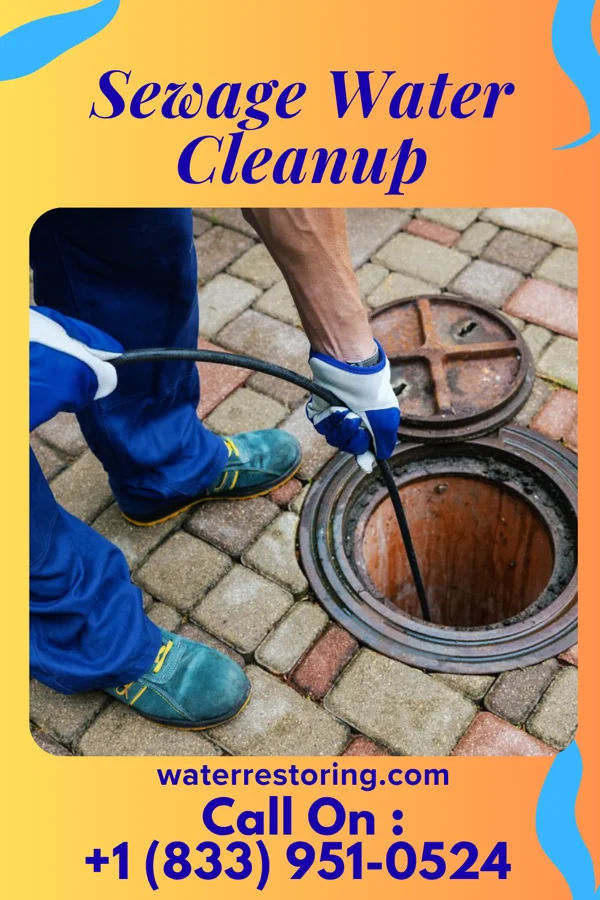 Sewage Water Cleanup in Lemmon Valley, NV
